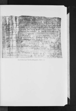 Das Schleswiger Stadtbuchfragment, Zeile 1-12