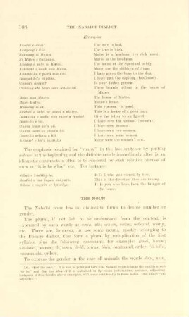 The noun