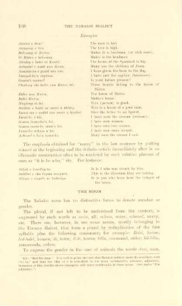 The noun