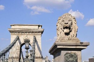 Budapest - Löwenkopf an der Kettenbrücke : Ein riesiger steinerner Löwenkopf steht neben der historischen Kettenbrücke über die Donau. Aufgenommen in der City von Budapest am 13. Juni 2011