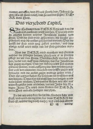 Das vierzehend Capitel.