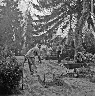 Neuer Friedhof: Hamburger Straße: ältester Teil: Befestigen eines Fußweges mit Betonplatten: zwei Arbeiter, Werkzeug, Schubkarre