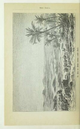 24. Aus der Wüste Sahara (rechts Oase)