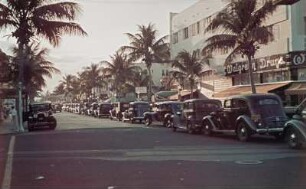 Straßenszene in Miami : Reisefotos USA. Miami (Florida). Straßenbild mit Palmen und parkenden Autos (vielleicht auf der E. Flagler Street)