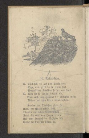 19. Täubchen.