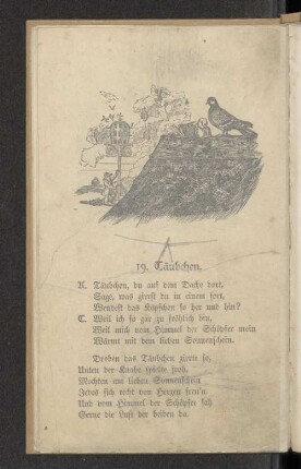 19. Täubchen.