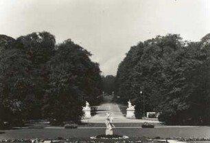 Dresden. Großer Garten. Blick vom Palais zur westlichen Hauptallee