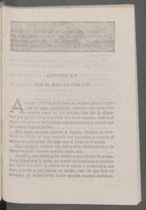 Capítulo XLV - Por el bien de Pimpilín