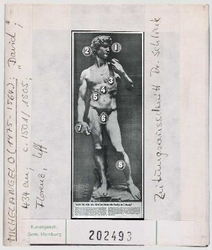 Michelangelo: David. Zeitungsausschnitt