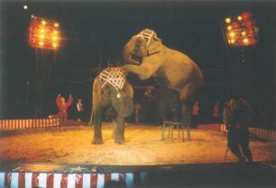 Circus Berolina, Magdeburg - Berlin, 1973-2004