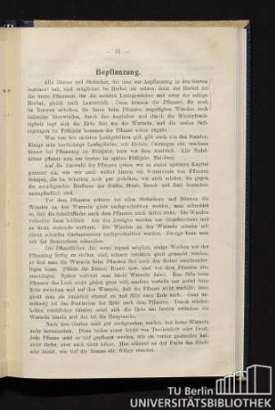 Bepflanzung.