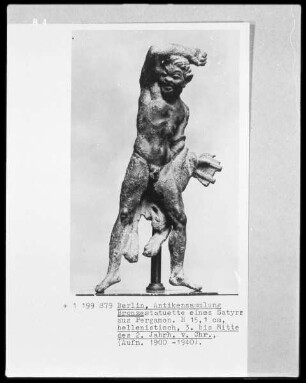Satyr