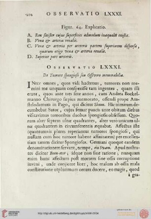 Observatio LXXXI