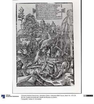 Herkules-Zyklus: Herkules tötet Cacus