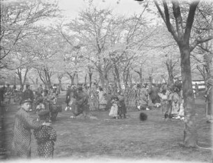Hanami : Männer und Frauen unter blühenden Kirschbäumen