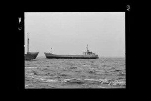 Albatros (1970), Antarctis