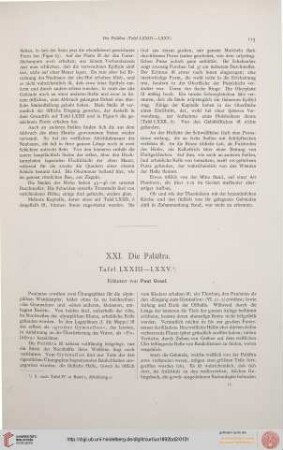 Die Palästra