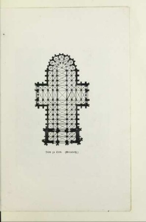 Dom zu Cöln. (Grundriß)