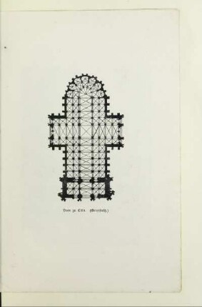 Dom zu Cöln. (Grundriß)