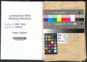 Entnazifizierung Walter Haas , geb. 14.02.1905 (Kaufmann)