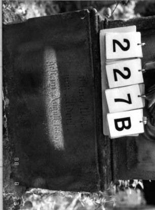 Grabstein 227 (Index: 100095857) Maße HxBxT: 200x62x28 cm Symbolik: Blumenkranz, Rosette, Hände der Treue: Grabstein 227B