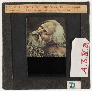 Grünewald: Isenheimer Altar, Besuch der Einsiedler, Detail: Paulus, Kopf (Erste Farb-Kleinbilddias am Seminar, 1943 angekauft)