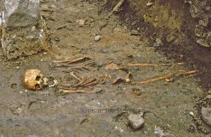 Kloster Reinbek: Ausgrabung: Skelett