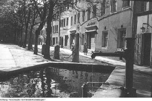 Grillenburg und Pirna, Juni 1954