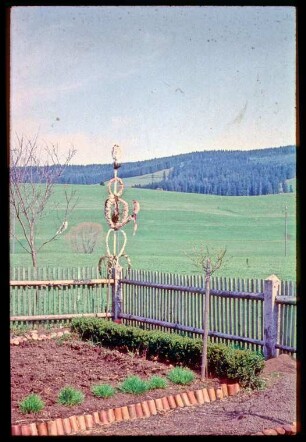 Palmen am Gartenzaun