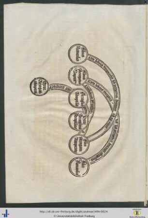 Arbor cognationis legalis.