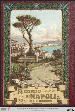 Ricordo di Napoli : 32 vedute