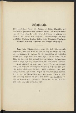 Schafsnase. (Die pomologischen Namen sind: Leichter und Spitzer Matapfel, zwei nur durch die Form voneinander verschiedene Sorten. Der Ausdruck Schafsnase für diese beiden Sorten ist bei der Bevölkerung viel geläufiger und bekannter und deshalb auch beibehalten. Lokalbezeichnungen sind noch: Seckbächer, Berliner , Berliner Apfel, Grüne Schafsnase, Frankfurter Matapfel, Rheinische Schafsnase und Deutsche Schafsnase.)