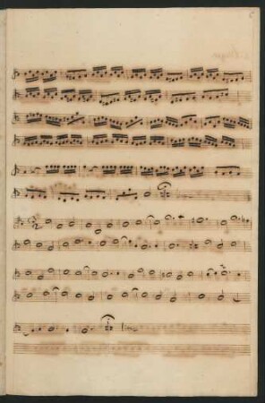 Viola di Gamba