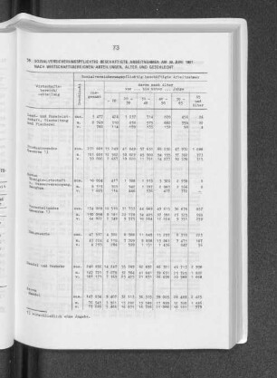 Sozialversicherungspflichtig beschäftigte Arbeitnehmer am 30. Juni 1981 nach Wirtschaftsbereichen/ -abteilungen, Alter und Geschlecht