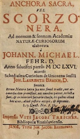 Anchora Sacra, Vel Scorzonera : Ad normam & formam Academiae Naturae-Curiosorum