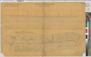 Bahnlinie Münster-Rheda-Lippstadt: Nivellements- und Situationsplan, Blatt 12: km 23,000 bis km 25,000, M. 1:2.500 und M. 1:250 Vp.: Hannover, Münster