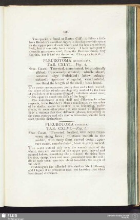 Pleurotoma comma. Tab. CXLVI. — Fig. 5