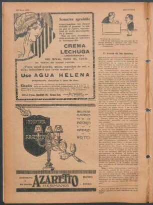 El mundo de los insectos