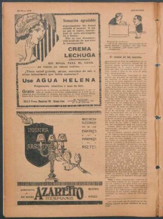 El mundo de los insectos