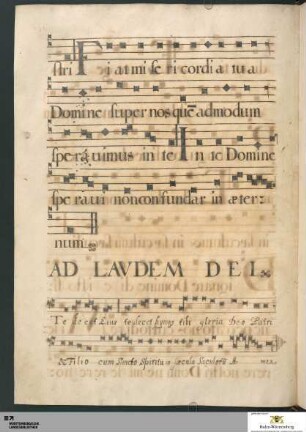 Ad laudem dei