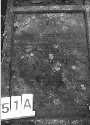 Grabstein 51 (Index: 100105910) Material: Sandstein Zustand: Stein liegend, stark verwittert mit Textverlust Maße HxBxT: 179x60x18 cm Beschreibung: Stele, Sockel, Giebel mit stilisierten Eckakroteren, rechteckiges Schriftfeld eingetieft Symbolik: Palmzweig: Grabstein 51A