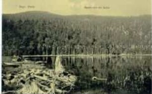 Der Rachelsee im Bayerischen Wald