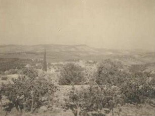 Palästina. Hirtenfeld bei Bethlehem. Blick nach Osten auf Schichtstufenlandschaft aus Kalk, dahinter Bruchstufe zum Toten Meer
