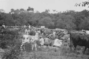Kurze Rast (Lateinamerika-Aufenthalte 1934/1942 – 6. Kolumbien 1938-1942)