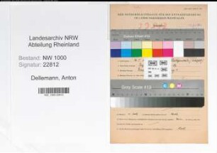 Entnazifizierung Anton Dellemann, geb. 26.05.1891 (Studienrat)