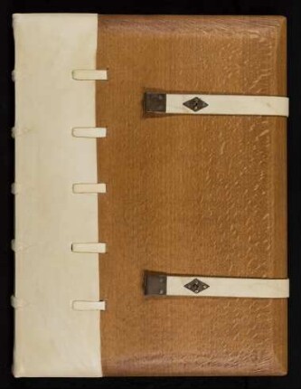 Bonaventura : Hdschr. 446
