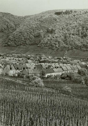 Winningen. Ortsansicht mit Weinbergen