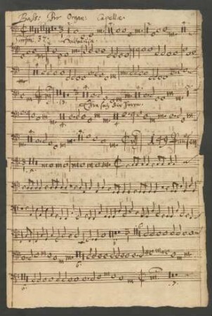 Basso pro Organo Capellae
