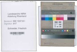 Entnazifizierung Friedrich Schneider , geb. 16.09.1888 (Vertreter)
