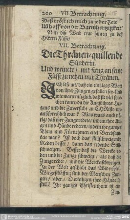 VII. Betrachtung. Die Thränen-quillende Sünderin